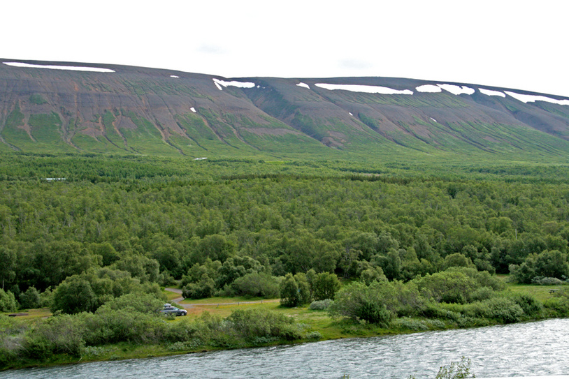 Icelandic Forest Service